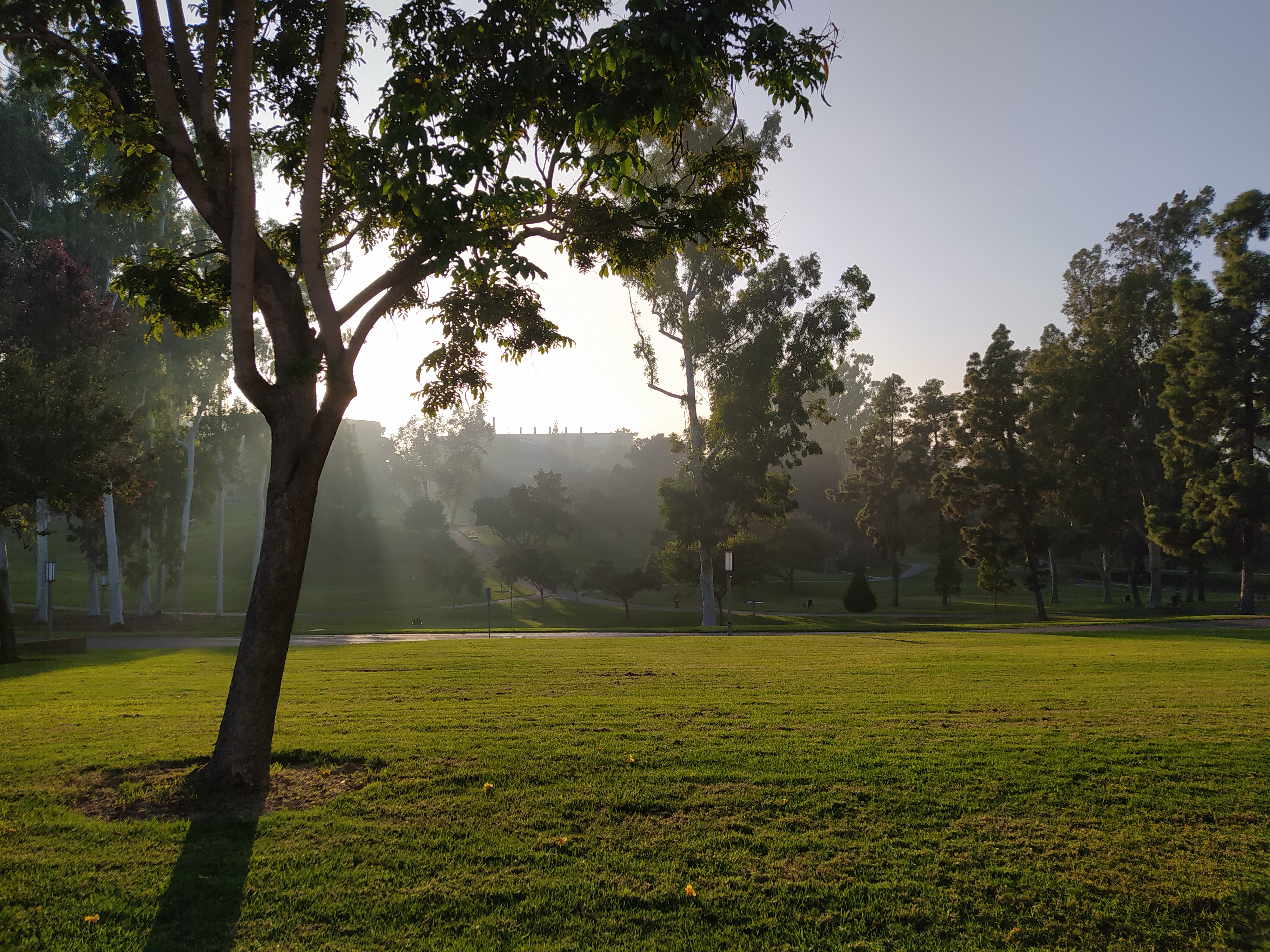 Aldrich Park